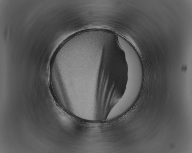 X0000090901132200708270938