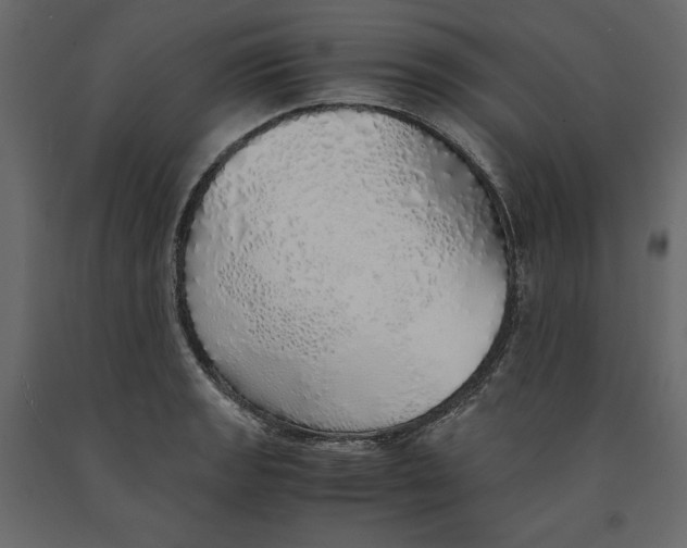 X0000090901133200708270938