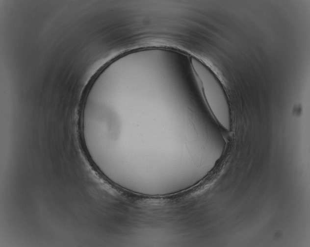 X0000090901134200708270938