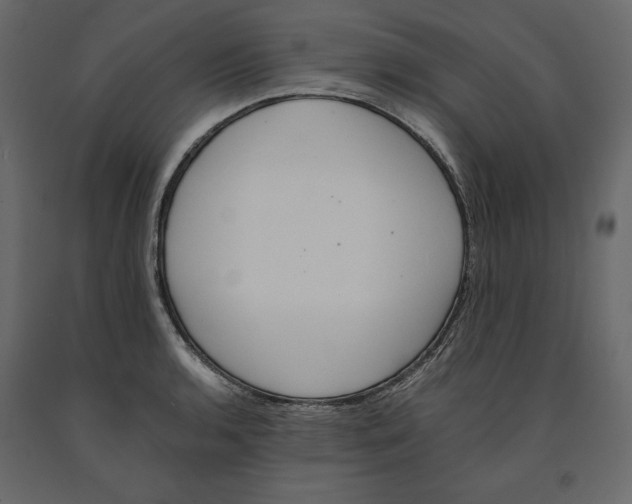 X0000090901136200708270938