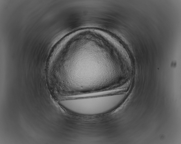 X0000090901137200708270938