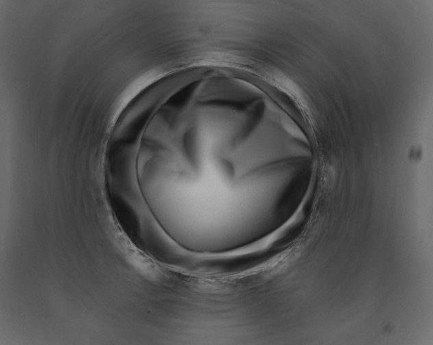 X0000090901138200708270938