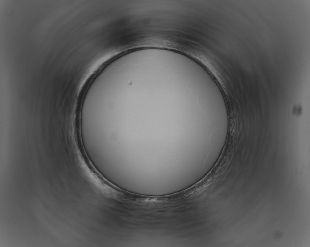 X0000090901139200708270938