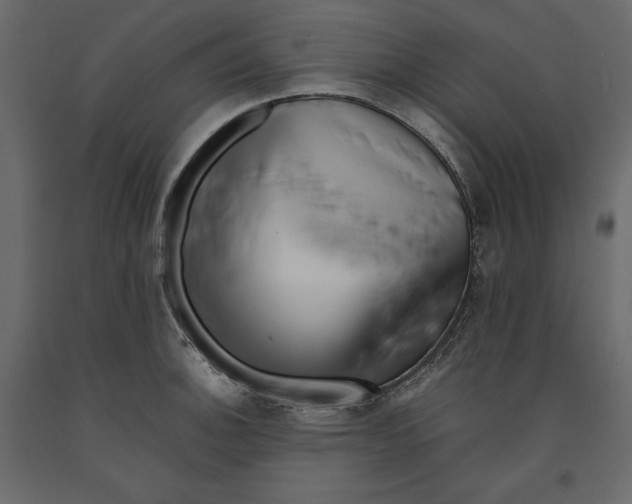 X0000090901140200708270938