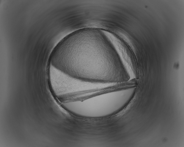 X0000090901141200708270938