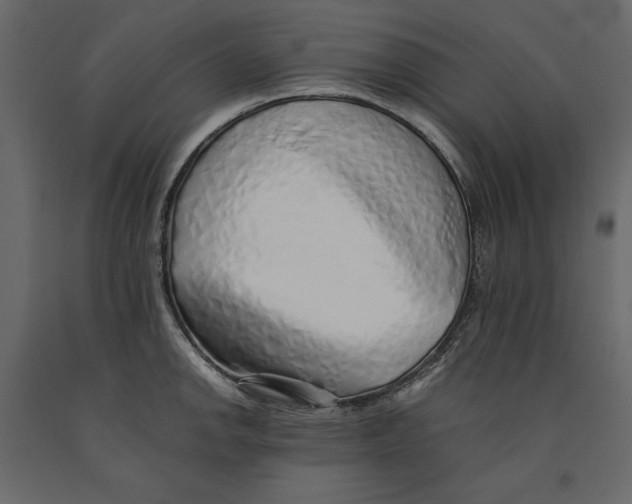 X0000090901142200708270938