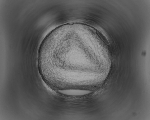 X0000090901143200708270938