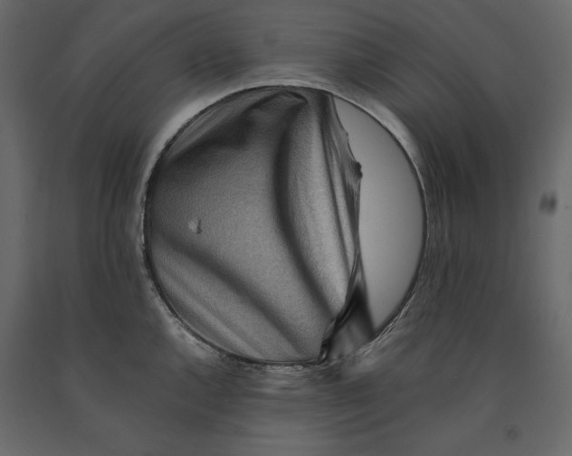 X0000090901144200708270938