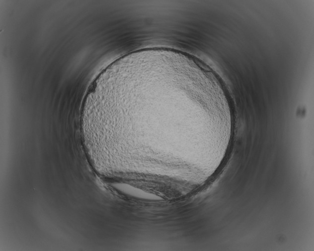 X0000090901145200708270938