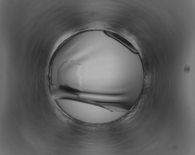 X0000090901146200708270938