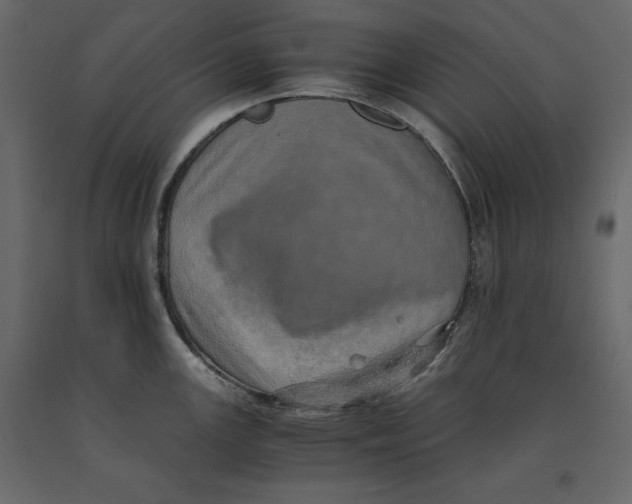 X0000090901147200708270938