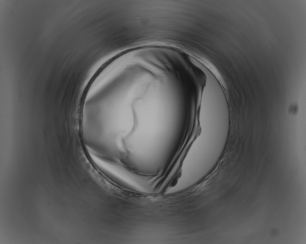 X0000090901148200708270938