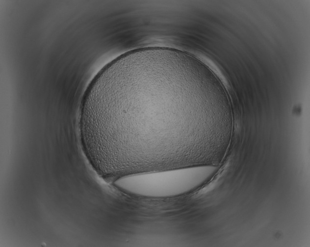 X0000090901149200708270938