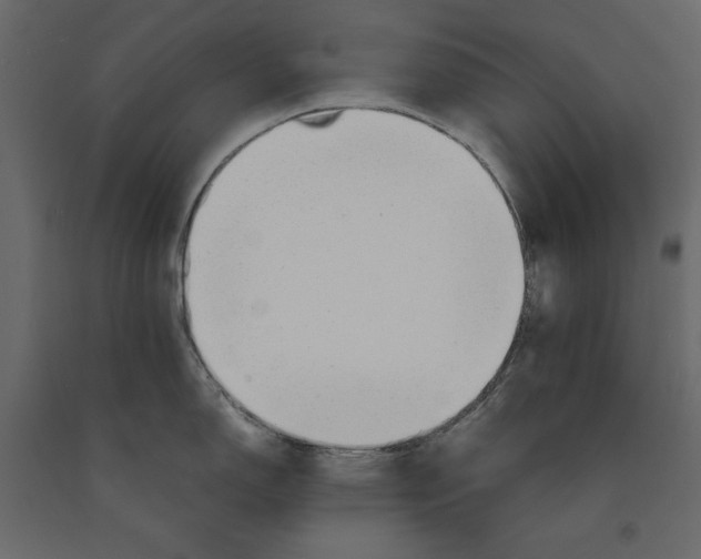 X0000090901150200708270938