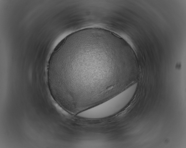 X0000090901151200708270938