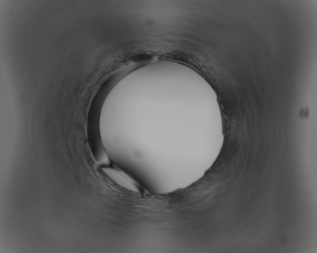 X0000090901153200708270938