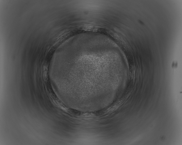 X0000090901154200708270938