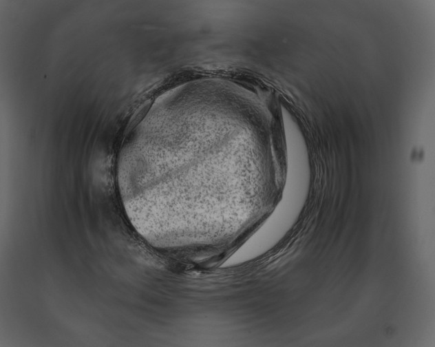 X0000090901156200708270938