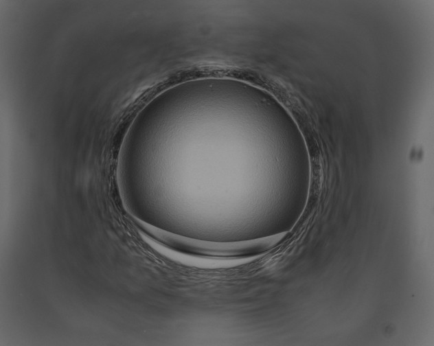 X0000090901157200708270938