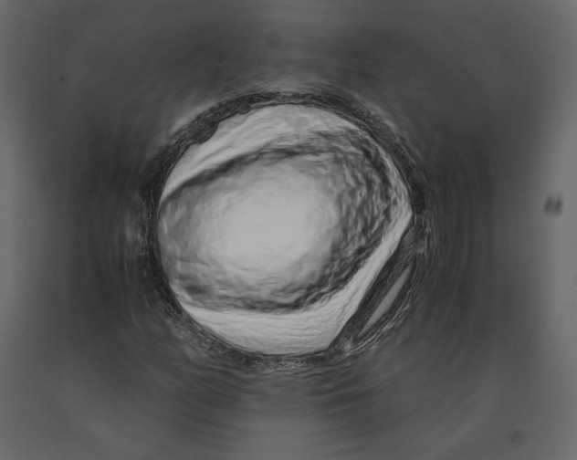 X0000090901158200708270938