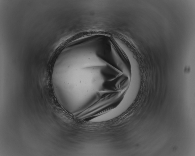 X0000090901160200708270938