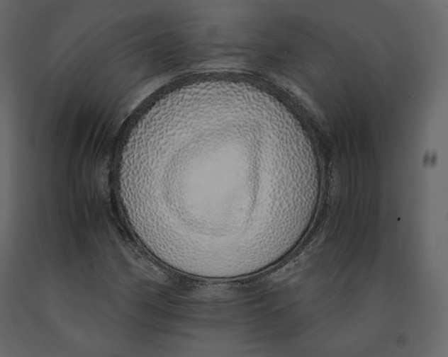 X0000090901162200708270938