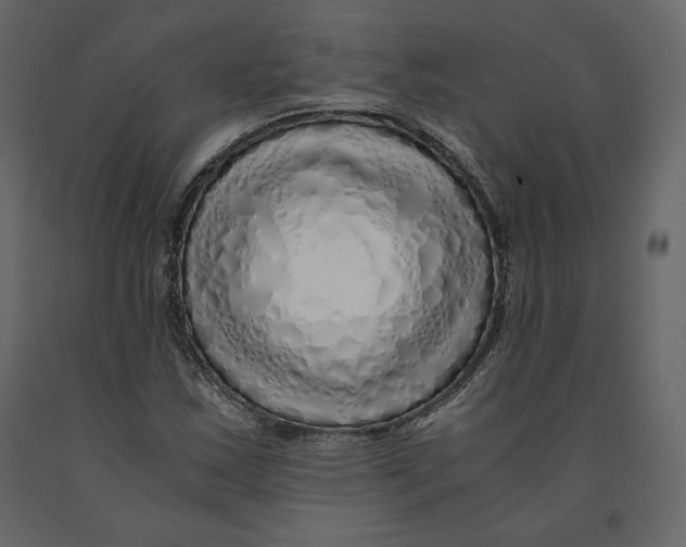 X0000090901163200708270938