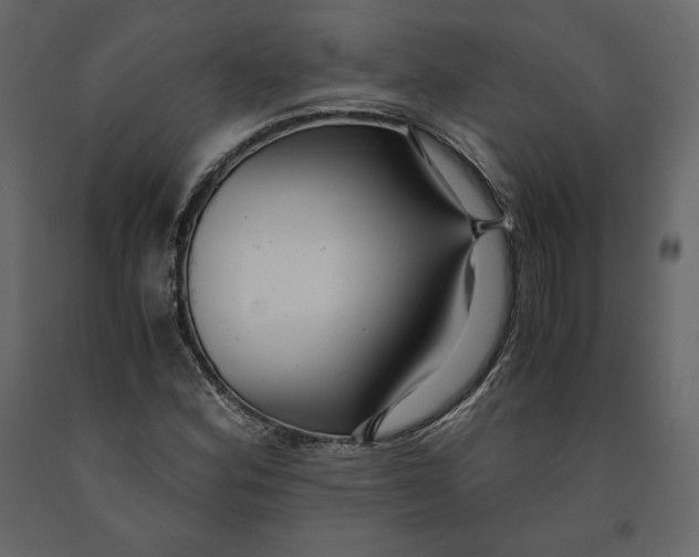 X0000090901164200708270938