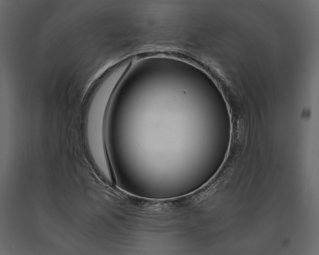 X0000090901165200708270938