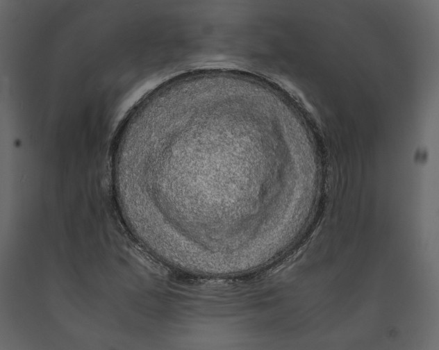 X0000090901167200708270938