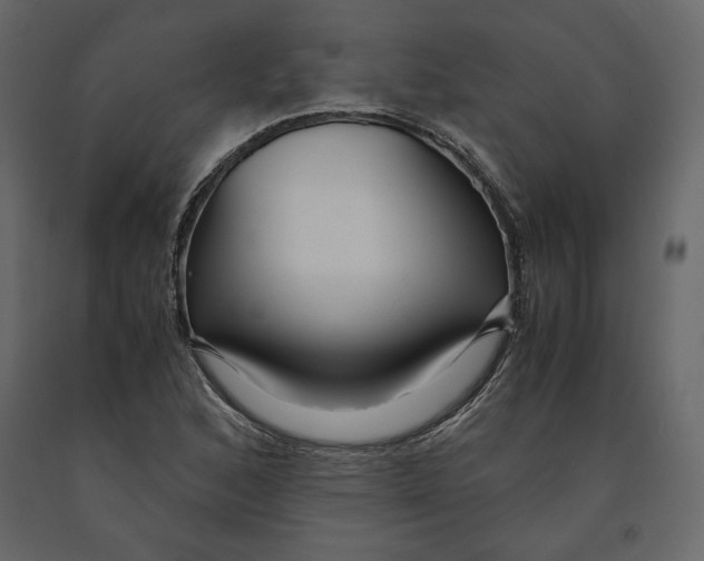 X0000090901168200708270938