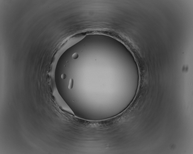 X0000090901169200708270938