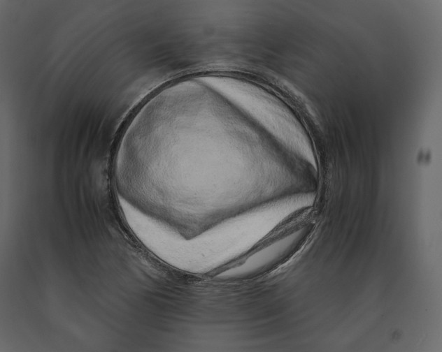 X0000090901170200708270938