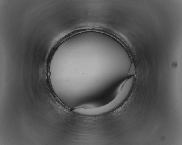 X0000090901172200708270938