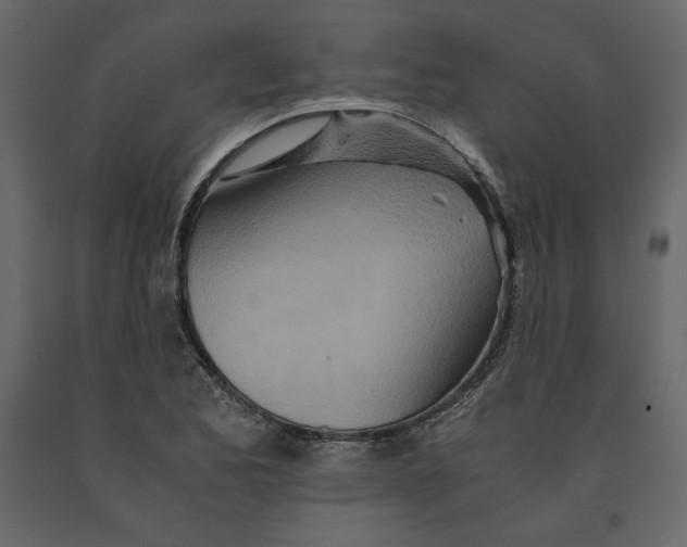 X0000090901173200708270938