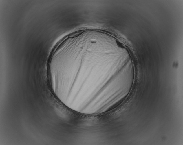 X0000090901174200708270938