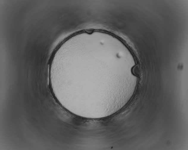 X0000090901175200708270938