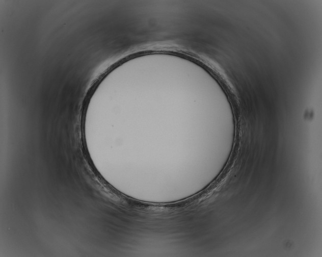 X0000090901176200708270937