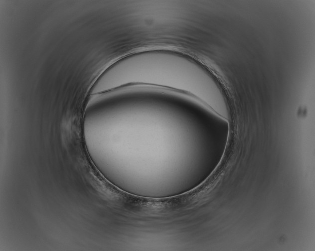 X0000090901177200708270937