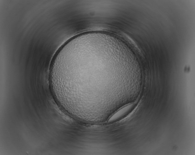 X0000090901178200708270937