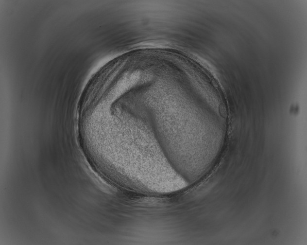 X0000090901179200708270937