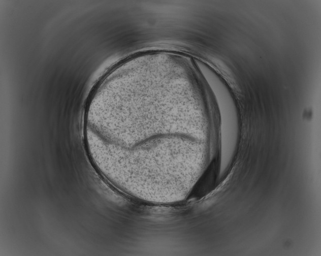 X0000090901180200708270937