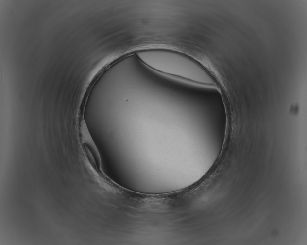 X0000090901181200708270937