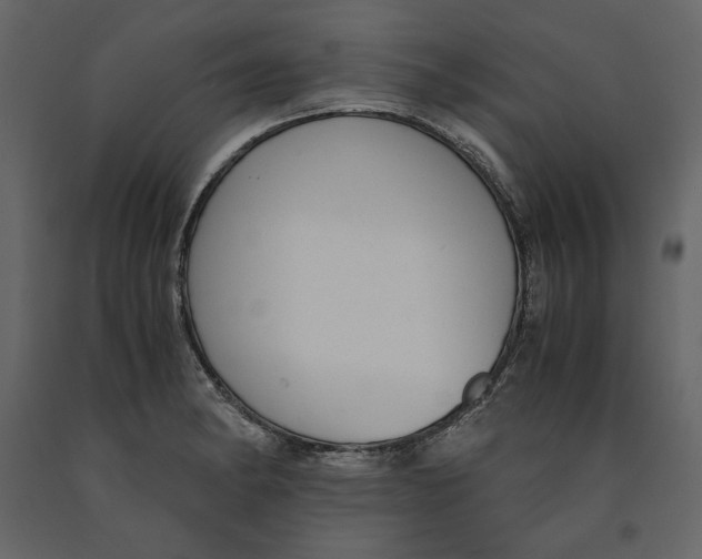 X0000090901182200708270937