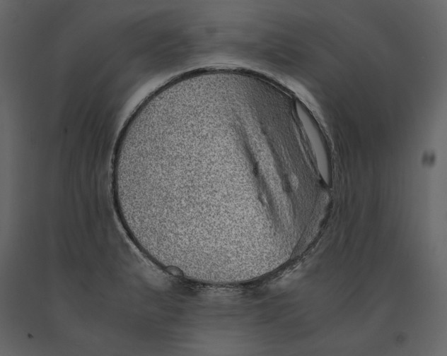 X0000090901183200708270937