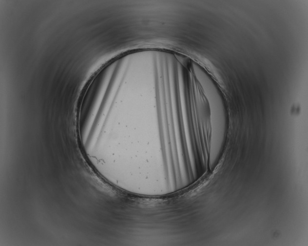 X0000090901184200708270937