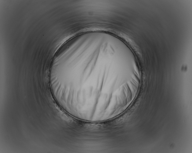 X0000090901185200708270937