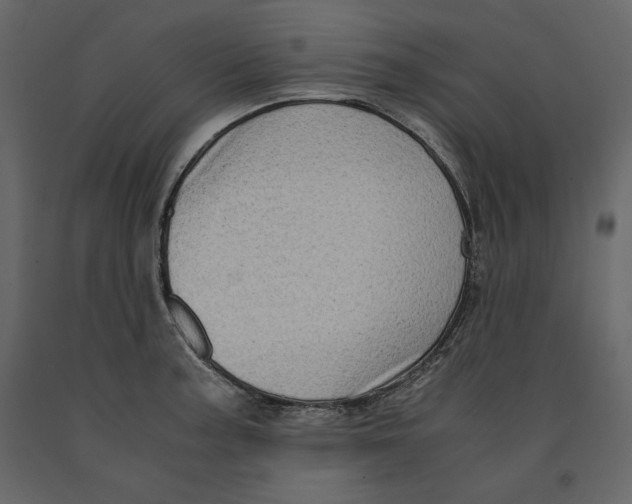 X0000090901187200708270937