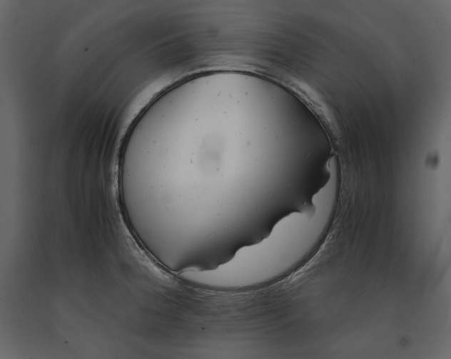 X0000090901188200708270937