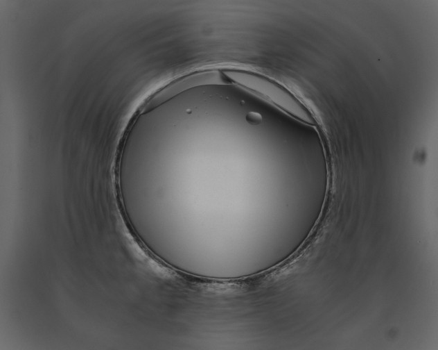 X0000090901189200708270937